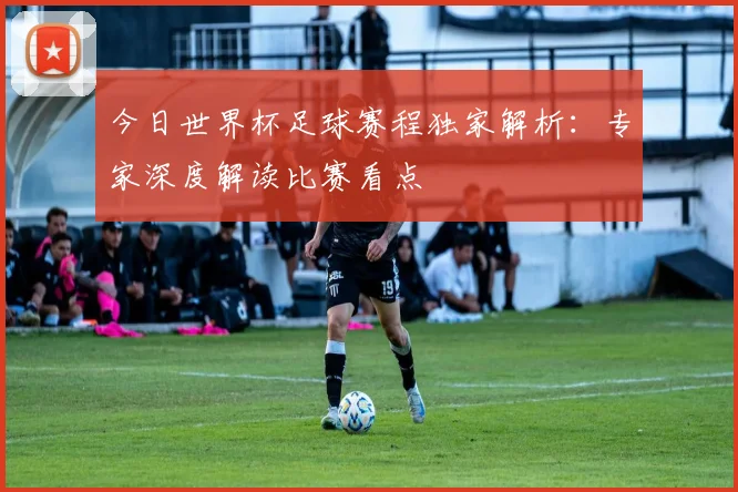 今日世界杯足球赛程独家解析:专家深度解读比赛看点