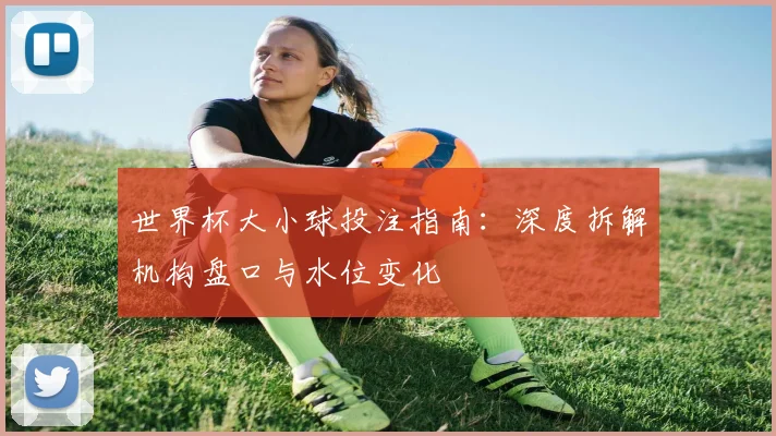 世界杯大小球投注指南:深度拆解机构盘口与水位变化