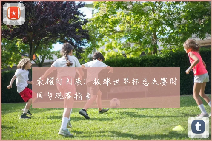 荣耀时刻表:板球世界杯总决赛时间与观赛指南