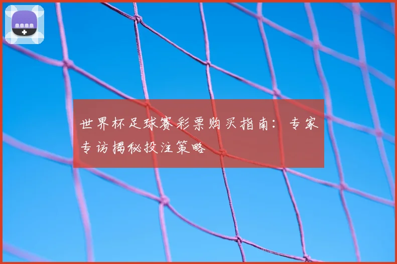 世界杯足球赛彩票购买指南：专家专访揭秘投注策略
