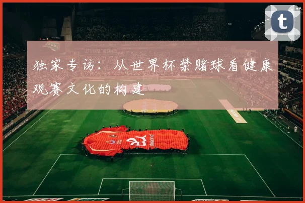 独家专访：从世界杯禁赌球看健康观赛文化的构建