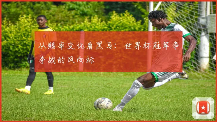 从赔率变化看黑马：世界杯冠军争夺战的风向标