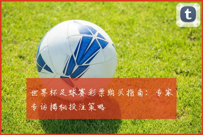世界杯足球赛彩票购买指南:专家专访揭秘投注策略