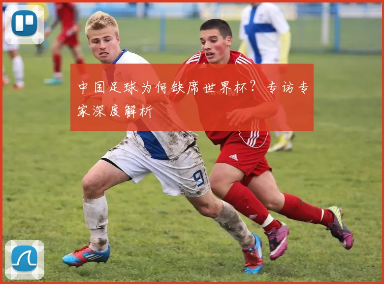 中国足球为何缺席世界杯?专访专家深度解析